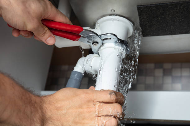 Best Flood restoration services  in Albany, MN