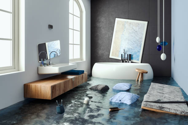 Best Commercial water damage restoration  in Albany, MN