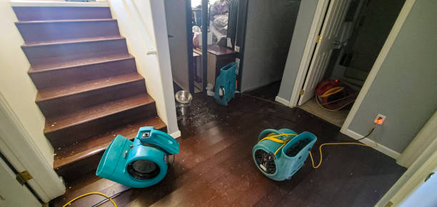 Best Basement water damage restoration  in Albany, MN