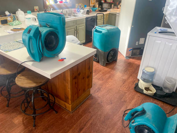 Best Emergency water damage restoration  in Albany, MN