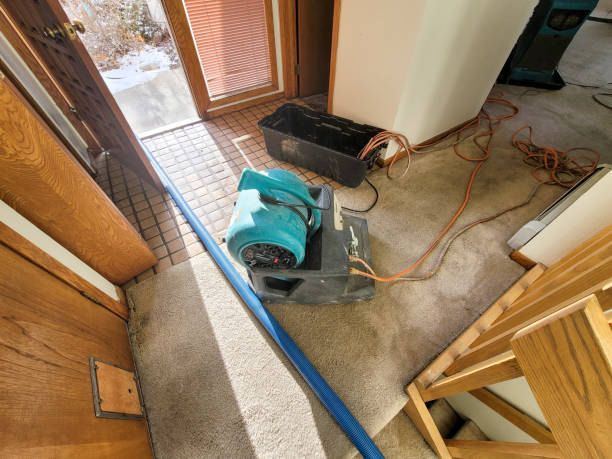 Best Water damage restoration specialists  in Albany, MN