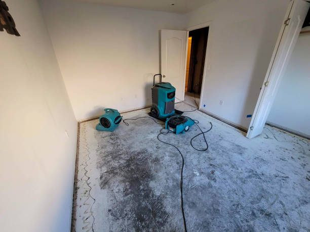 Best 24/7 water damage repair  in Albany, MN
