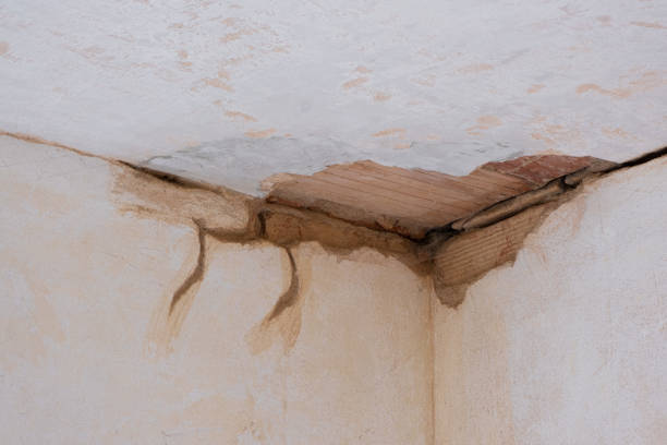 Best Flooded house restoration  in Albany, MN