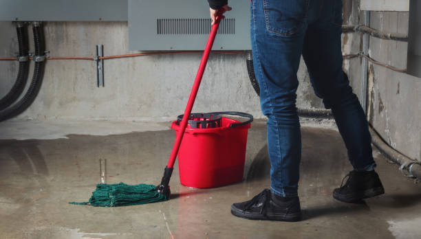 Best Residential water damage restoration  in Albany, MN