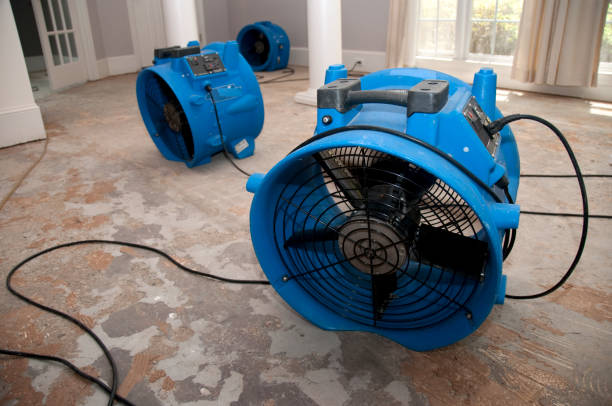 Best Water damage repair service  in Albany, MN