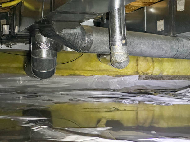 Best Professional water damage repair  in Albany, MN
