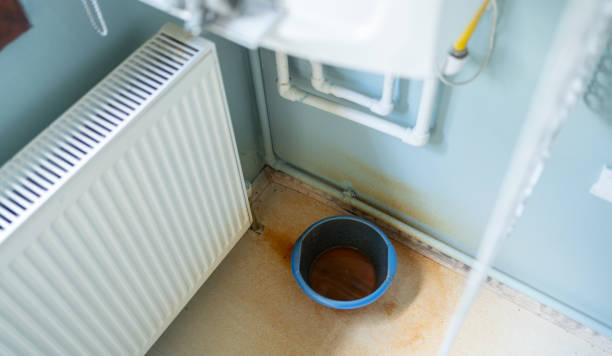 Best Water damage cleanup near me  in Albany, MN