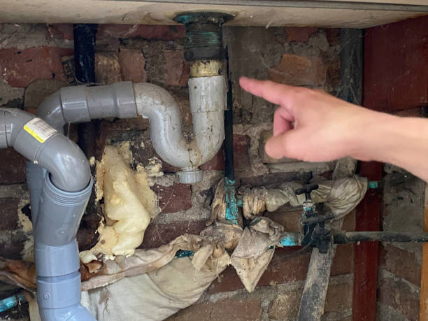 Best Water damage restoration company  in Albany, MN