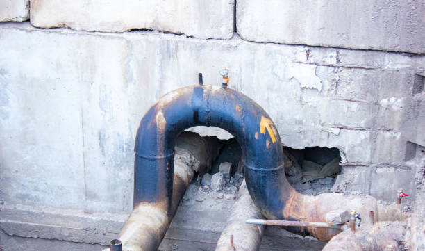 Best Mold removal after water damage  in Albany, MN