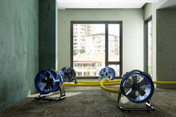 Best Commercial water damage restoration  in Albany, MN